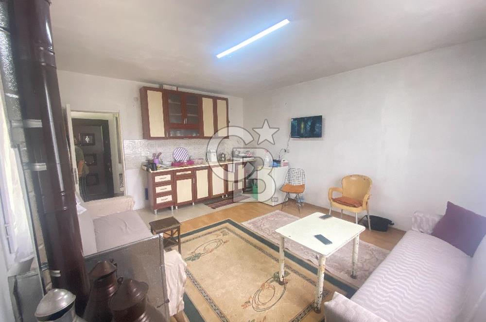 İZMİR KEMALPAŞA ARMUTLU 85.YIL CUMHURİYET MH SATILIK ZEYTİNLİK VE BAĞ EVİ CB-PH