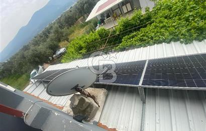 İZMİR KEMALPAŞA ARMUTLU 85.YIL CUMHURİYET MH SATILIK ZEYTİNLİK VE BAĞ EVİ CB-PH