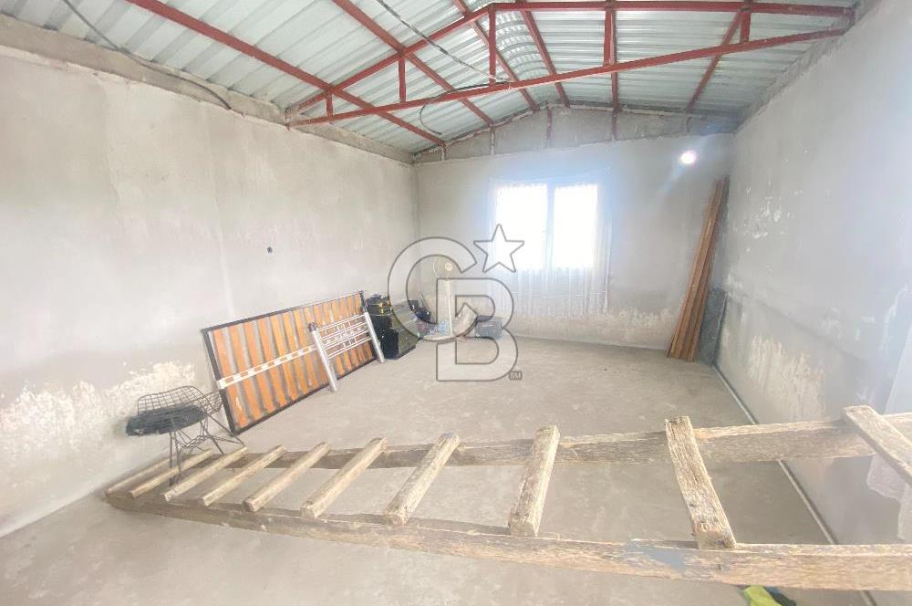 İZMİR KEMALPAŞA ARMUTLU 85.YIL CUMHURİYET MH SATILIK ZEYTİNLİK VE BAĞ EVİ CB-PH