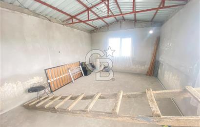 İZMİR KEMALPAŞA ARMUTLU 85.YIL CUMHURİYET MH SATILIK ZEYTİNLİK VE BAĞ EVİ CB-PH