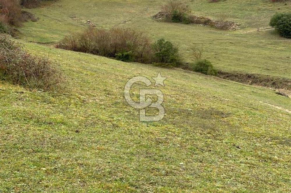Kocaeli Kandıra Selametli satılık 3859 m2 arazi 