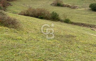 Kocaeli Kandıra Selametli satılık 3859 m2 arazi 
