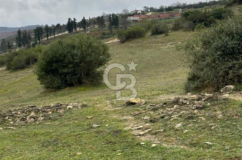 Kocaeli Kandıra Selametli satılık 3859 m2 arazi 