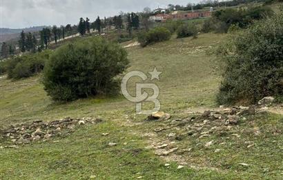 Kocaeli Kandıra Selametli satılık 3859 m2 arazi 