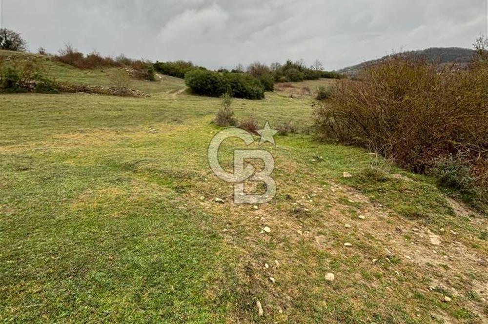 Kocaeli Kandıra Selametli satılık 3859 m2 arazi 
