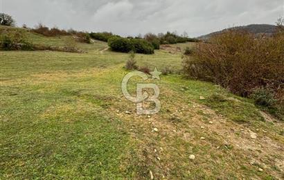 Kocaeli Kandıra Selametli satılık 3859 m2 arazi 