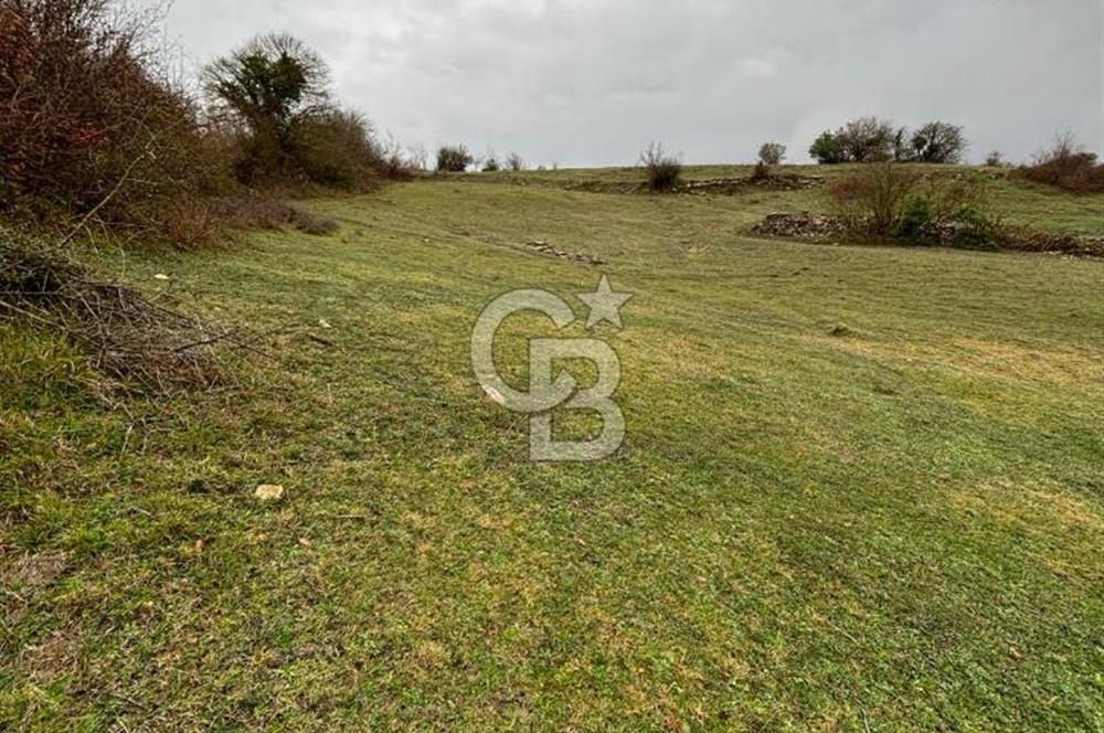 Kocaeli Kandıra Selametli satılık 3859 m2 arazi 
