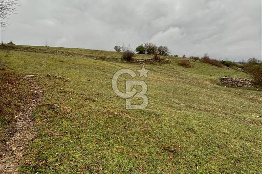 Kocaeli Kandıra Selametli satılık 3859 m2 arazi 
