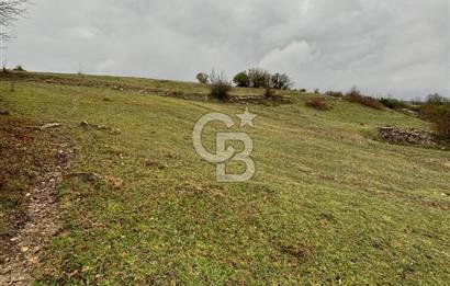 Kocaeli Kandıra Selametli satılık 3859 m2 arazi 