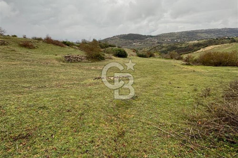Kocaeli Kandıra Selametli satılık 3859 m2 arazi 