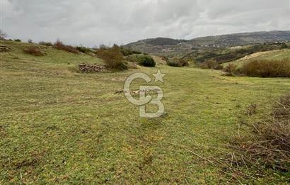 Kocaeli Kandıra Selametli satılık 3859 m2 arazi 