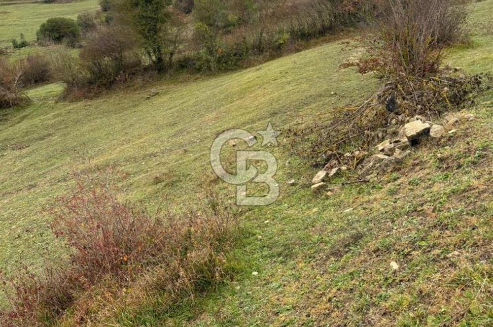 Kocaeli Kandıra Selametli satılık 3859 m2 arazi 