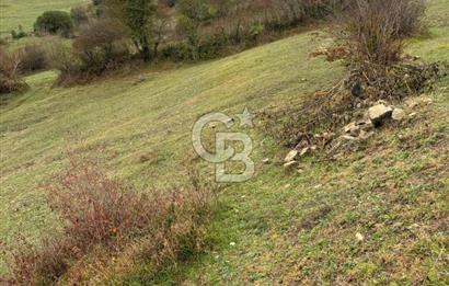 Kocaeli Kandıra Selametli satılık 3859 m2 arazi 
