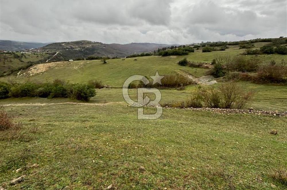 Kocaeli Kandıra Selametli satılık 3859 m2 arazi 