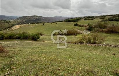 Kocaeli Kandıra Selametli satılık 3859 m2 arazi 