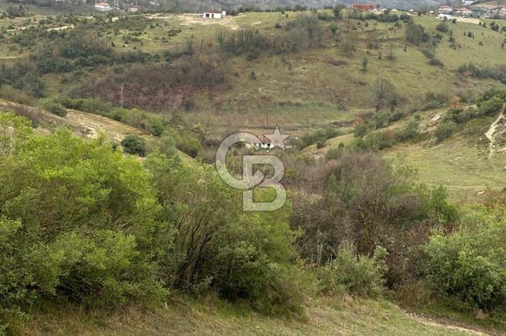 Kocaeli Kandıra Selametli satılık 3859 m2 arazi 