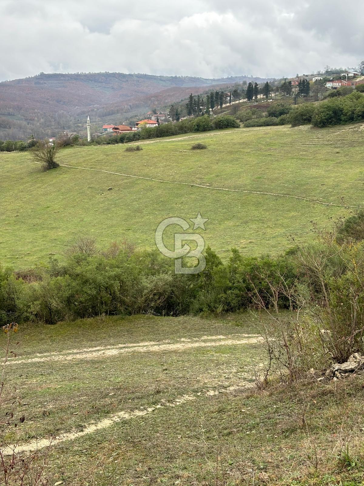 Kocaeli Kandıra Selametli satılık 3859 m2 arazi 