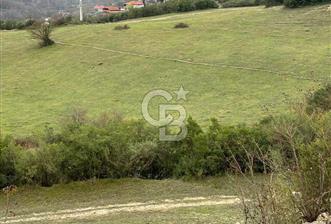 Kocaeli Kandıra Selametli satılık 3859 m2 arazi  - 4 - 348945