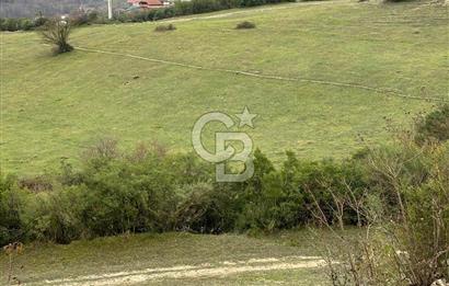 Kocaeli Kandıra Selametli satılık 3859 m2 arazi 