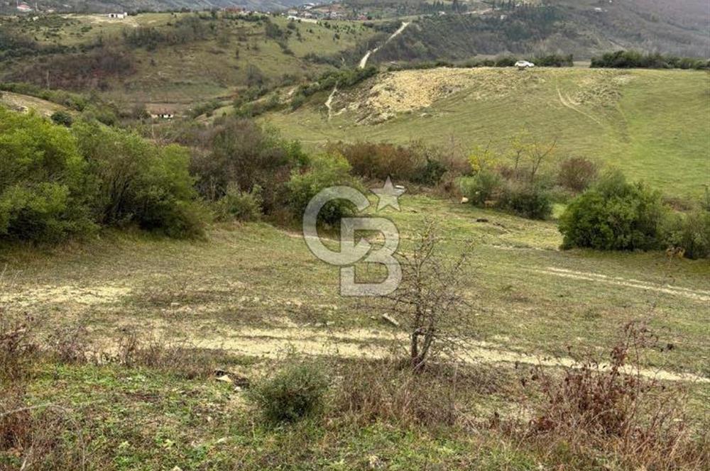 Kocaeli Kandıra Selametli satılık 3859 m2 arazi 