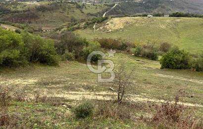 Kocaeli Kandıra Selametli satılık 3859 m2 arazi 