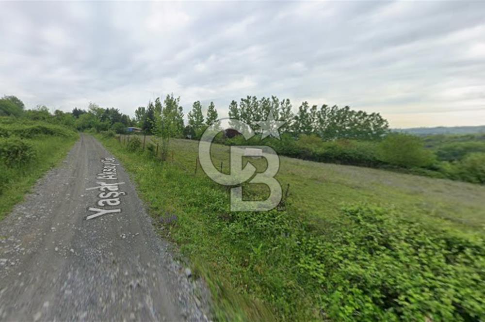 Arnavutköy Tayakadın'da Yatırımlık Satılık 347m2 Fırsat Arazi