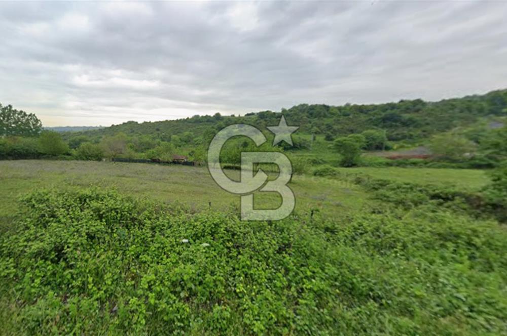 Arnavutköy Tayakadın'da Yatırımlık Satılık 347m2 Fırsat Arazi