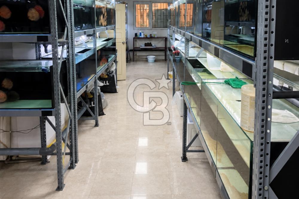 ÜSKÜDAR DOĞANCILARDA DEPOLU, ÇOK AMAÇLI 325 M² DÜKKAN