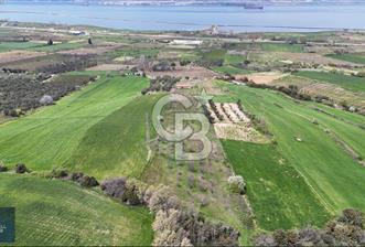 ÇANAKKALE LAPSEKİ BOĞAZ MANZARALI YOLA CEPHELİ SATILIK TARLA - 2 - 348943