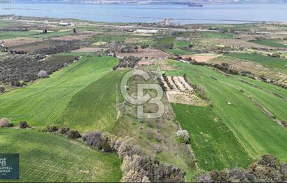 ÇANAKKALE LAPSEKİ BOĞAZ MANZARALI YOLA CEPHELİ SATILIK TARLA