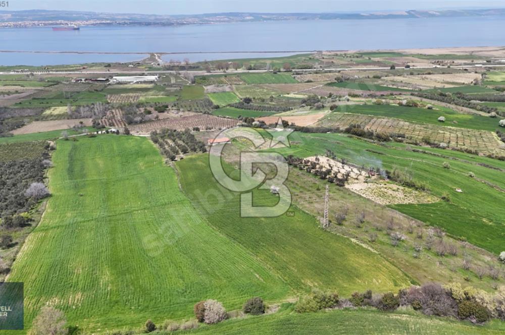 ÇANAKKALE LAPSEKİ BOĞAZ MANZARALI YOLA CEPHELİ SATILIK TARLA