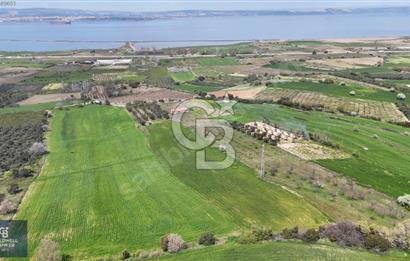 ÇANAKKALE LAPSEKİ BOĞAZ MANZARALI YOLA CEPHELİ SATILIK TARLA