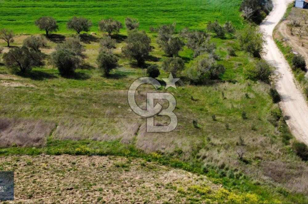 ÇANAKKALE LAPSEKİ BOĞAZ MANZARALI YOLA CEPHELİ SATILIK TARLA