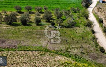 ÇANAKKALE LAPSEKİ BOĞAZ MANZARALI YOLA CEPHELİ SATILIK TARLA