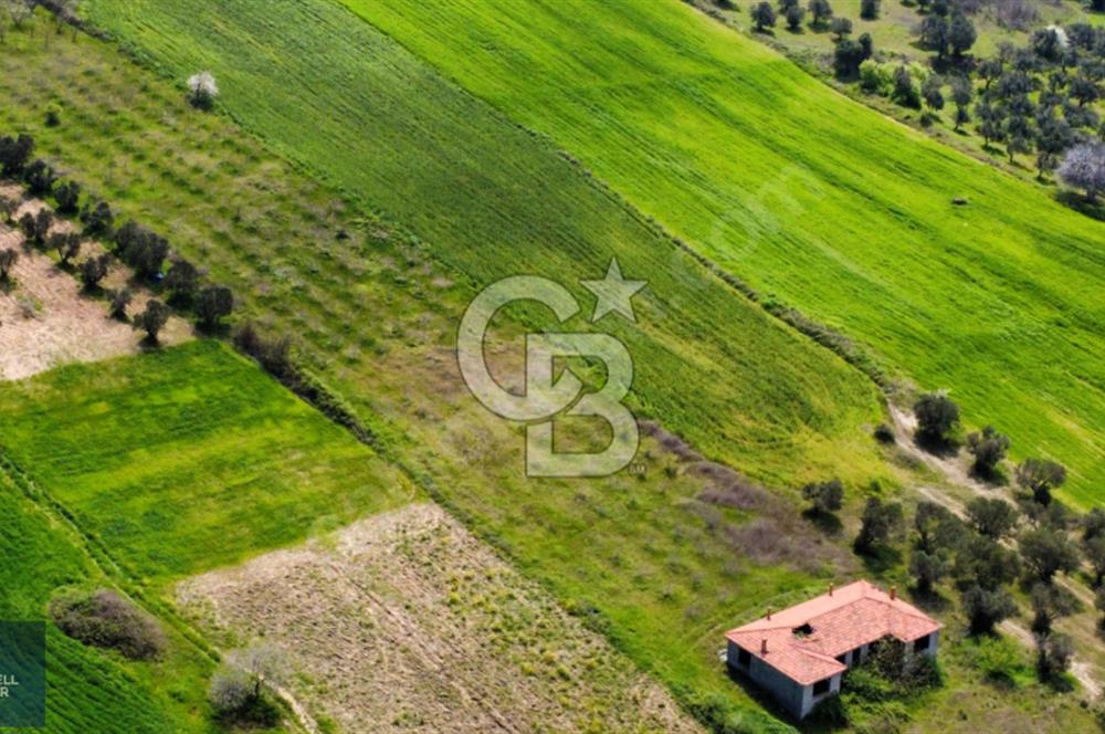 ÇANAKKALE LAPSEKİ BOĞAZ MANZARALI YOLA CEPHELİ SATILIK TARLA
