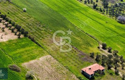 ÇANAKKALE LAPSEKİ BOĞAZ MANZARALI YOLA CEPHELİ SATILIK TARLA