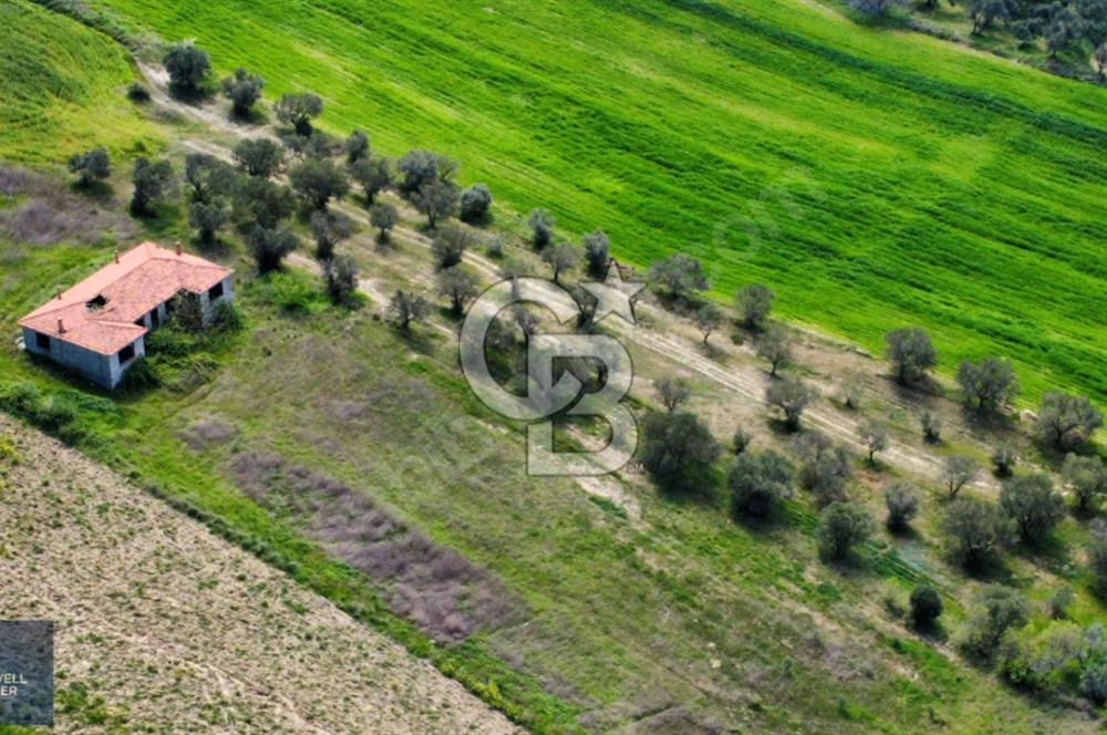 ÇANAKKALE LAPSEKİ BOĞAZ MANZARALI YOLA CEPHELİ SATILIK TARLA