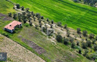 ÇANAKKALE LAPSEKİ BOĞAZ MANZARALI YOLA CEPHELİ SATILIK TARLA