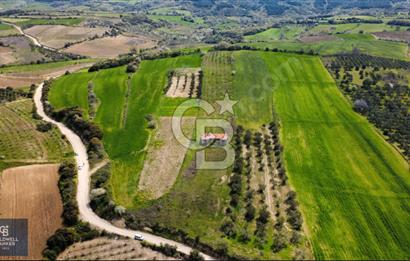 ÇANAKKALE LAPSEKİ BOĞAZ MANZARALI YOLA CEPHELİ SATILIK TARLA