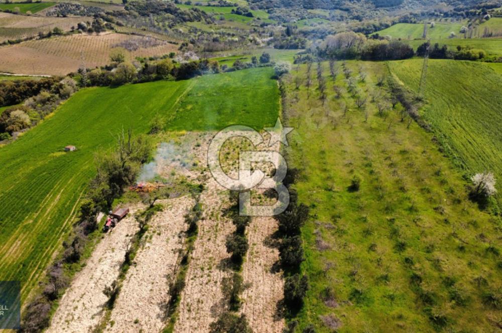 ÇANAKKALE LAPSEKİ BOĞAZ MANZARALI YOLA CEPHELİ SATILIK TARLA