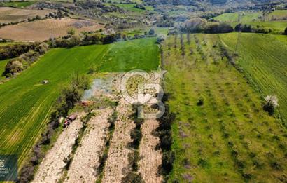 ÇANAKKALE LAPSEKİ BOĞAZ MANZARALI YOLA CEPHELİ SATILIK TARLA