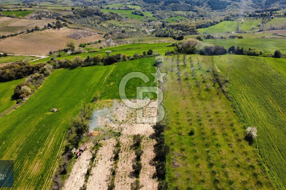 ÇANAKKALE LAPSEKİ BOĞAZ MANZARALI YOLA CEPHELİ SATILIK TARLA