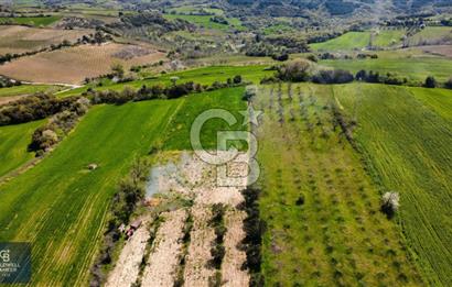 ÇANAKKALE LAPSEKİ BOĞAZ MANZARALI YOLA CEPHELİ SATILIK TARLA