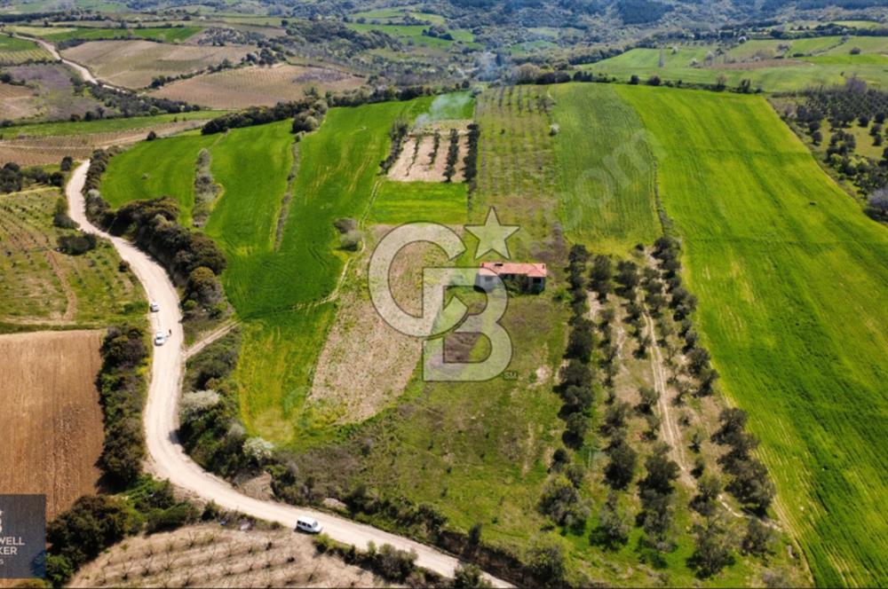 ÇANAKKALE LAPSEKİ BOĞAZ MANZARALI YOLA CEPHELİ SATILIK TARLA
