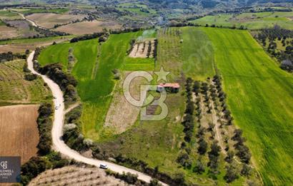 ÇANAKKALE LAPSEKİ BOĞAZ MANZARALI YOLA CEPHELİ SATILIK TARLA