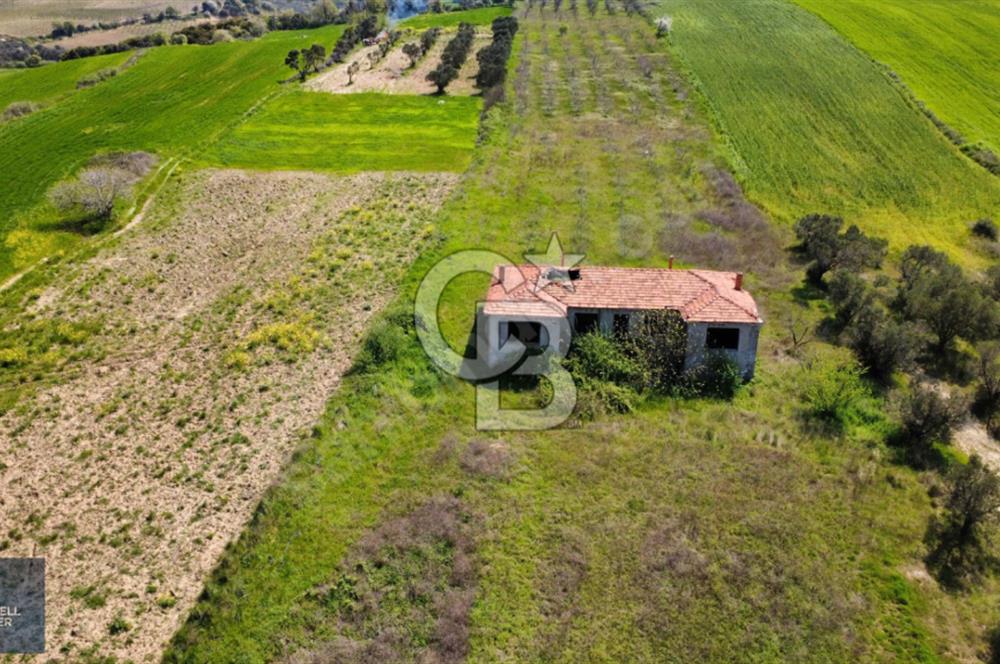 ÇANAKKALE LAPSEKİ BOĞAZ MANZARALI YOLA CEPHELİ SATILIK TARLA