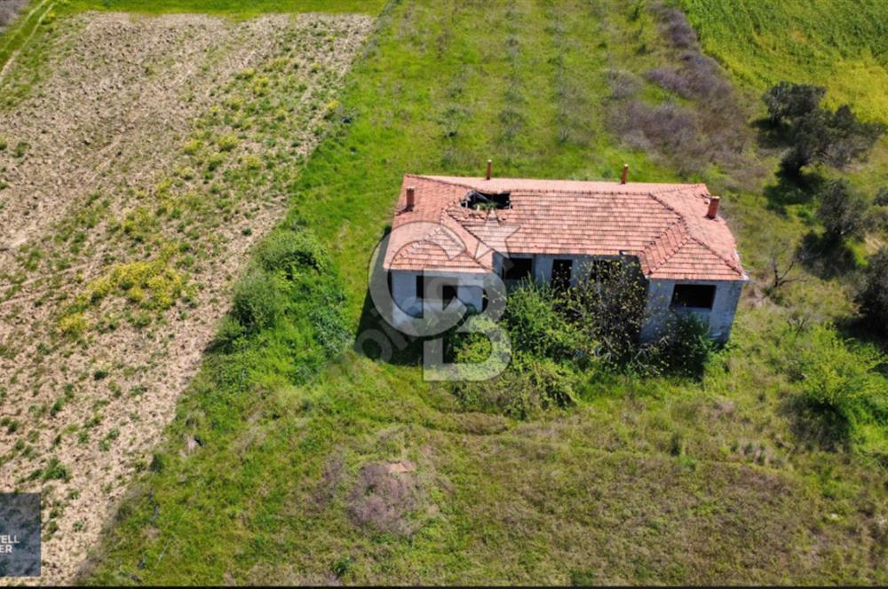 ÇANAKKALE LAPSEKİ BOĞAZ MANZARALI YOLA CEPHELİ SATILIK TARLA
