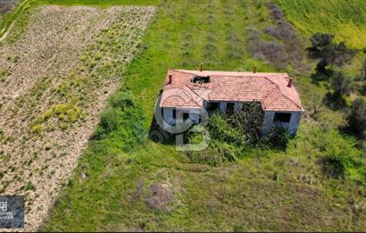 ÇANAKKALE LAPSEKİ BOĞAZ MANZARALI YOLA CEPHELİ SATILIK TARLA