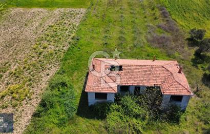 ÇANAKKALE LAPSEKİ BOĞAZ MANZARALI YOLA CEPHELİ SATILIK TARLA