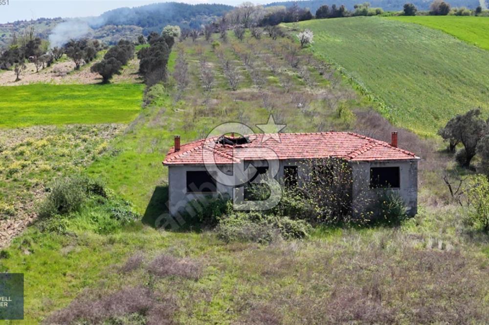 ÇANAKKALE LAPSEKİ BOĞAZ MANZARALI YOLA CEPHELİ SATILIK TARLA